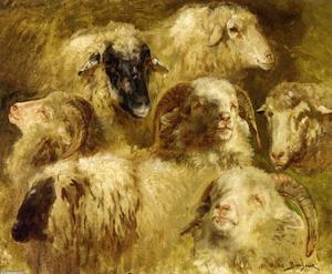 Rosa Bonheur - Heads of Ewes and Rams