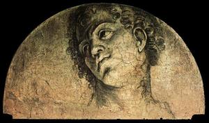 Sebastiano Del Piombo - Frescoes of the Farnesina (huge head)