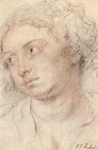 Peter Paul Rubens - Head of woman