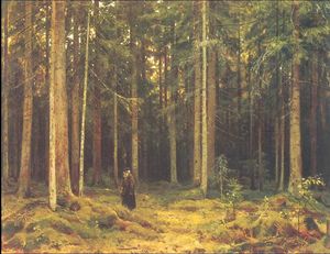 Ivan Ivanovich Shishkin - In the forest of countess Mordvinova, Petergof