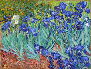 Vincent Van Gogh - Irises - (buy oil painting reproductions)