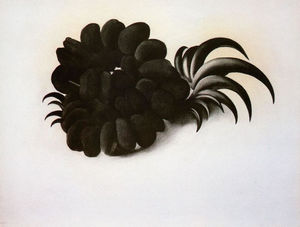 Georgia Totto O-keeffe - Eagle Claw and Bean Necklace