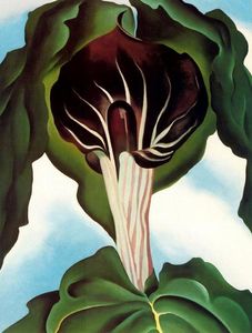 Georgia Totto O-keeffe - Jack in the Pulpit III