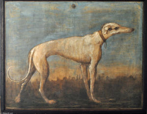 Giovanni Domenico Tiepolo - Greyhound