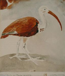 Gustave Moreau - Ibis