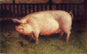Jamie Wyeth - Portrait of Pig
