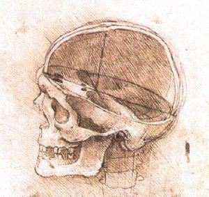 Leonardo Da Vinci - View of a Skull
