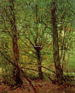 Vincent Van Gogh - Trees and Undergrowth