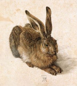 Albrecht Durer - Young Hare - (own a famous paintings reproduction)
