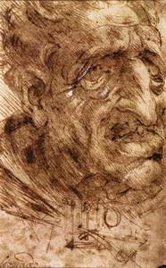 Leonardo Da Vinci - Head of an Old Man