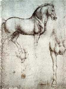 Leonardo Da Vinci - Study of horses