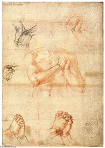 Michelangelo Buonarroti - Male Upper Body with Folded Hands (verso)