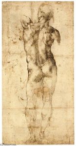 Michelangelo Buonarroti - Standing Male Nude, Seen from the Rear (recto)