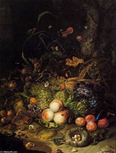 Rachel Ruysch - Flowers, Fruit, and Insects