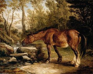 James Ward - A Horse Drinking at a Stream