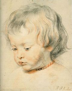  Artwork Replica Nicolas Rubens, 1619 by Peter Paul Rubens (1577-1640, Germany) | WahooArt.com