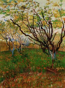 Vincent Van Gogh - Orchard in Bloom