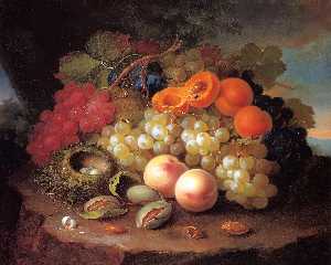 George Forster - Still Life with Fruit and Bird-s Nest