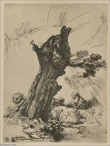 Rembrandt Van Rijn - St. Jerome Writing, Seated near a Large Tree