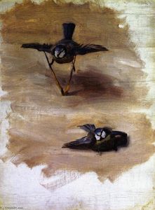 John Singer Sargent - Studies of a Dead Bird