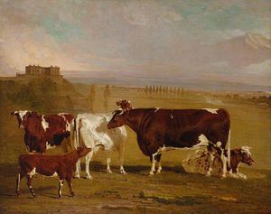 Benjamin Marshall - Portraits Of Cattle Of The Improved Short-horned Breed, The Property Of J. Wilkinson Esq. Of Lenton, Near Nottingham