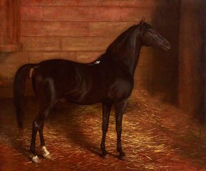 Jacques Laurent Agasse - Arab Horse, The Second Sire