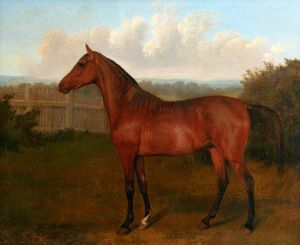 Jacques Laurent Agasse - Colt Of Mare And Arab Horse