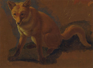 Jacques Laurent Agasse - Study Of A Fox