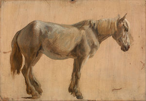 Jacques Laurent Agasse - Study Of A Grey Horse