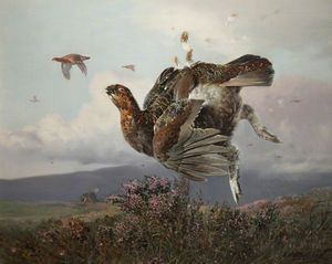 William Arnold Woodhouse - Grouse Shot In Flight
