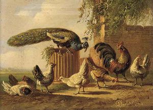 Albertus Verhoesen - A Peacock And Poultry In A Farmyard; And Another Similar