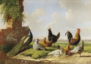 Albertus Verhoesen - A Peacock, Rooster And Hens In A Landscape