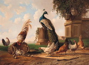 Albertus Verhoesen - Peacock, Rooster And Chickens By A Ruin