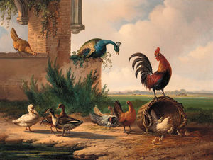 Albertus Verhoesen - Peacock, Rooster, Chickens And Ducks By A Ruin