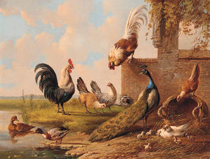 Albertus Verhoesen - Peacock, Roosters, Chickens And Ducks By A Pond And A Ruin