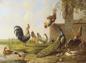 Albertus Verhoesen - Poultry And A Peacock By A Ruin -