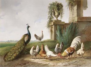 Albertus Verhoesen - Poultry And A Peacock In A Meadow