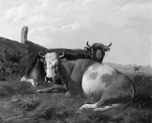 Albertus Verhoesen - Resting Cows In A Sunlit Meadow