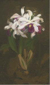 James Stuart Park - Oriental Lilies