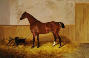 Colin Graeme Roe - Study Of A Horse