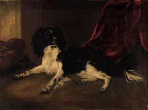 Ramsay Richard Reinagle - A King Charles Spaniel Lying Beside A Grate, In An Interior