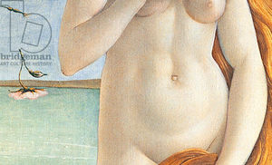 Sandro Botticelli - Birth Of Venus, Detail Of Venus-s Torso