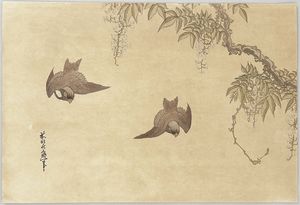 Katsushika Hokusai - Birds And Wisteria
