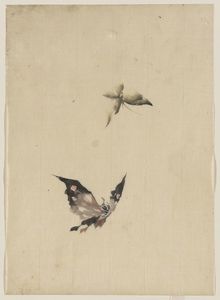 Katsushika Hokusai - Butterfly And Moth