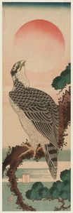 Katsushika Hokusai - Falcon And Sun