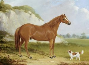 William Barraud - A Chestnut Horse And Spaniel In A Landscape