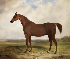 William Barraud - A Chestnut Horse In A Landscape