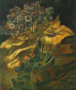 Vincent Van Gogh - Cineraria dans un pot