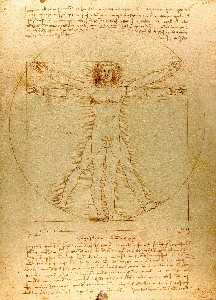 Leonardo Da Vinci - Study of proportions from Vitruvius's De Architectu