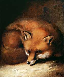 Abraham Cooper - A fox